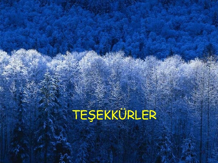 TEŞEKKÜRLER 38 