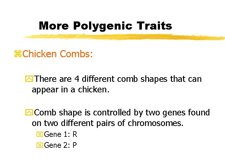 More Polygenic Traits z. Chicken Combs: y. There are 4 different comb shapes that