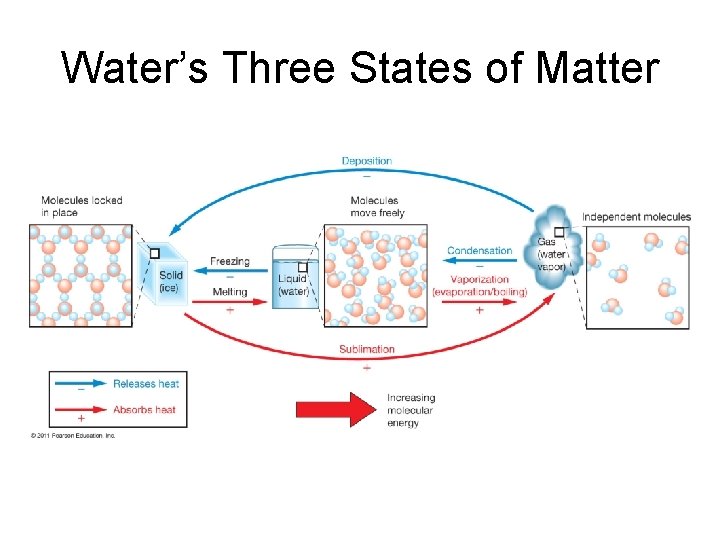 Water’s Three States of Matter 