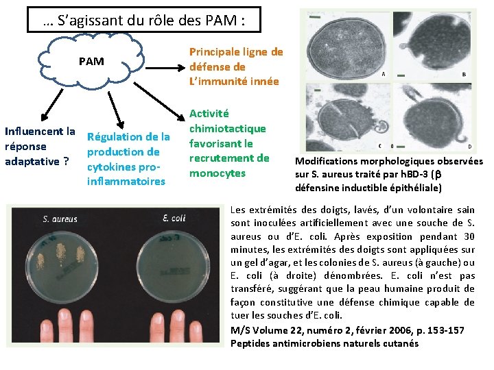 … S’agissant du rôle des PAM : PAM Influencent la Régulation de la réponse