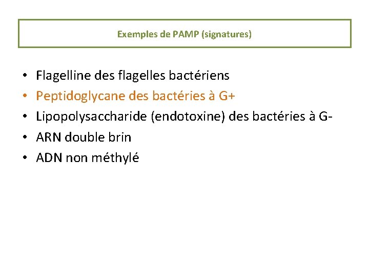 Exemples de PAMP (signatures) • • • Flagelline des flagelles bactériens Peptidoglycane des bactéries