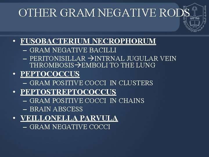 OTHER GRAM NEGATIVE RODS • FUSOBACTERIUM NECROPHORUM – GRAM NEGATIVE BACILLI – PERITONISILLAR INTRNAL