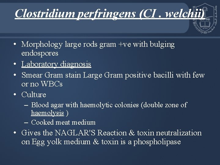 Clostridium perfringens (CI. welchii) • Morphology large rods gram +ve with bulging endospores •