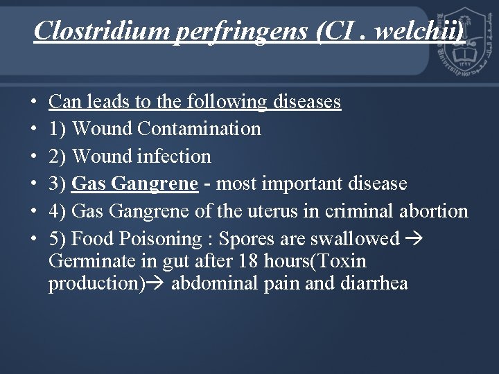 Clostridium perfringens (CI. welchii) • • • Can leads to the following diseases 1)