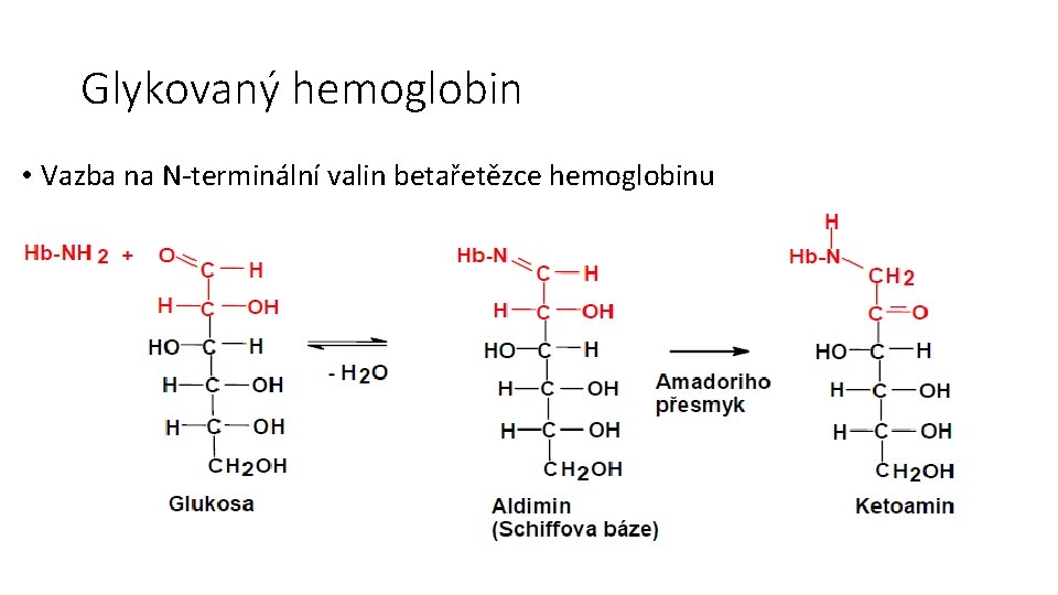 Glykovaný hemoglobin • Vazba na N-terminální valin betařetězce hemoglobinu 