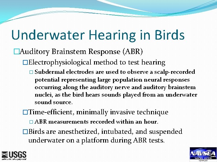Underwater Hearing in Birds �Auditory Brainstem Response (ABR) �Electrophysiological method to test hearing �