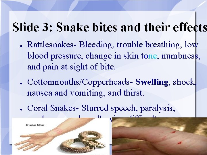 Slide 3: Snake bites and their effects ● ● ● Rattlesnakes- Bleeding, trouble breathing,