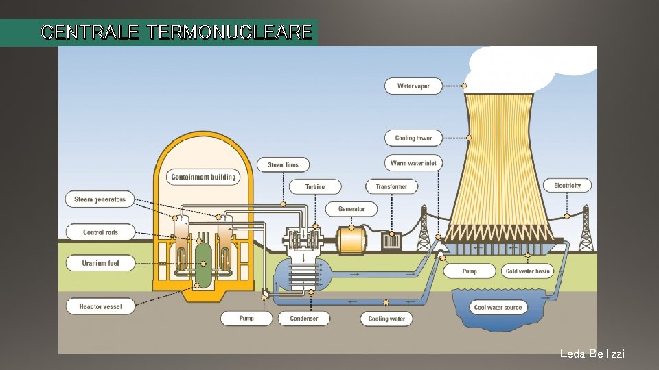 CENTRALE TERMONUCLEARE Leda Bellizzi CENTRALE TERMONUCLEARE Leda Bellizzi