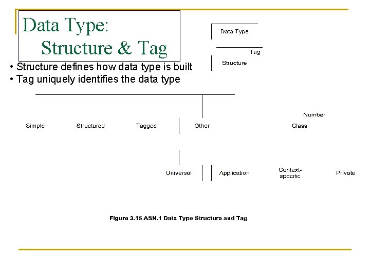 Data Type: Structure & Tag • Structure defines how data type is built • Data Type: Structure & Tag • Structure defines how data type is built •