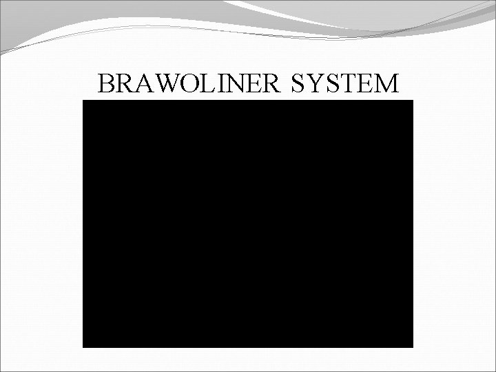 BRAWOLINER SYSTEM 