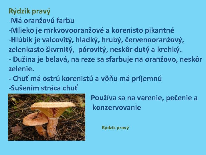 Rýdzik pravý -Má oranžovú farbu -Mlieko je mrkvovooranžové a korenisto pikantné -Hlúbik je valcovitý,