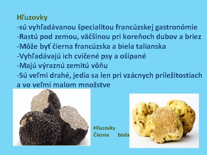 Hľuzovky -sú vyhľadávanou špecialitou francúzskej gastronómie -Rastú pod zemou, väčšinou pri koreňoch dubov a