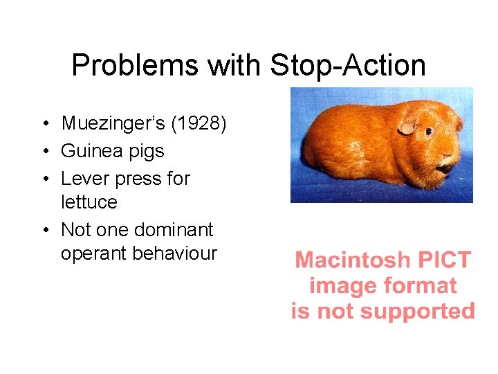 Problems with Stop-Action • Muezinger’s (1928) • Guinea pigs • Lever press for lettuce