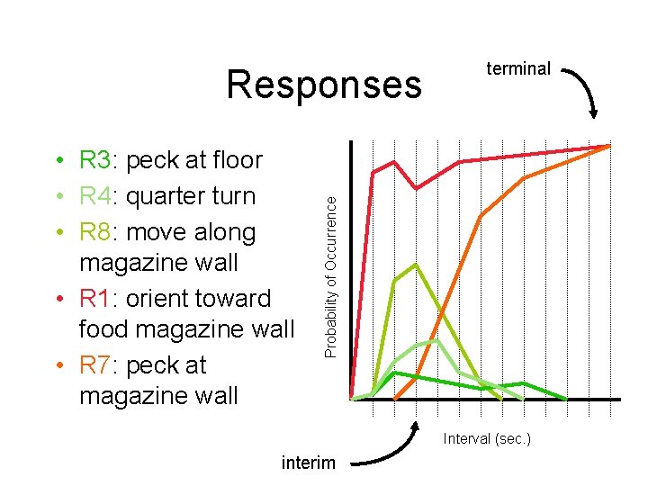  • R 3: peck at floor • R 4: quarter turn • R