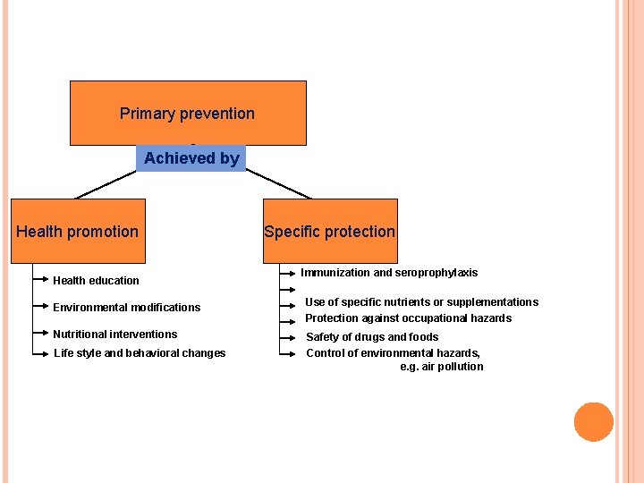 Primary prevention Achieved by Health promotion Health education Specific protection Immunization and seroprophylaxis Environmental