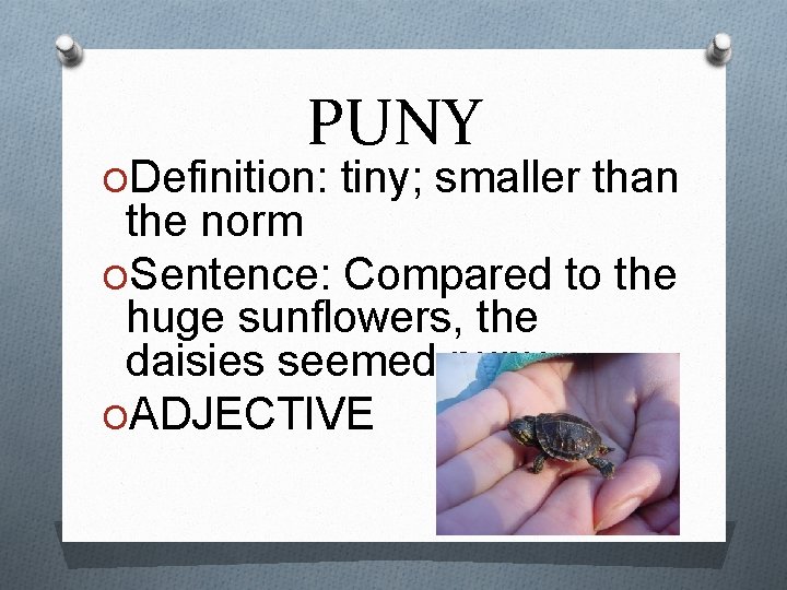 PUNY ODefinition: tiny; smaller than the norm OSentence: Compared to the huge sunflowers, the