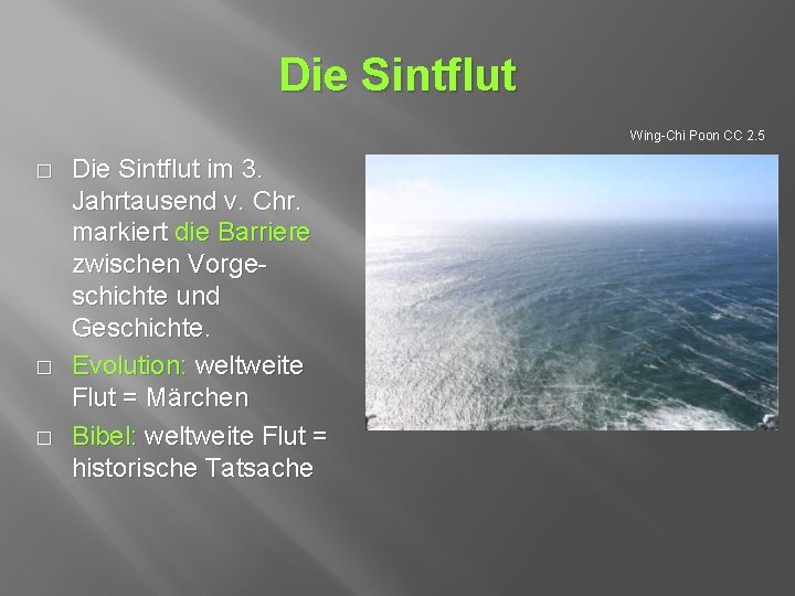 Die Sintflut Wing-Chi Poon CC 2. 5 � � � Die Sintflut im 3.