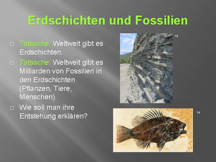 Erdschichten und Fossilien FB � � � Tatsache: Weltweit gibt es Erdschichten. Tatsache: Weltweit