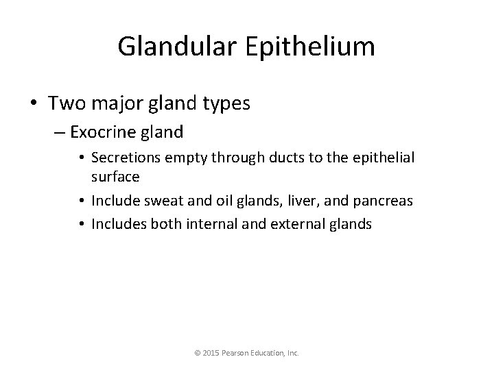 Glandular Epithelium • Two major gland types – Exocrine gland • Secretions empty through