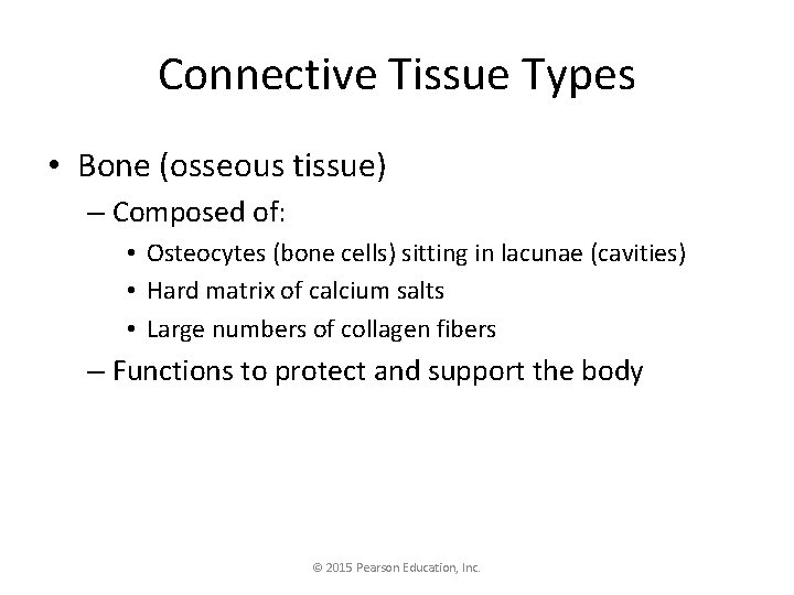 Connective Tissue Types • Bone (osseous tissue) – Composed of: • Osteocytes (bone cells)