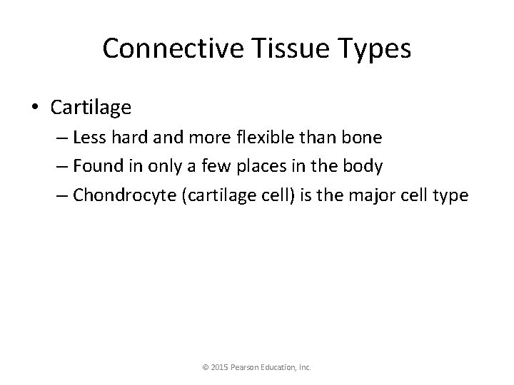 Connective Tissue Types • Cartilage – Less hard and more flexible than bone –