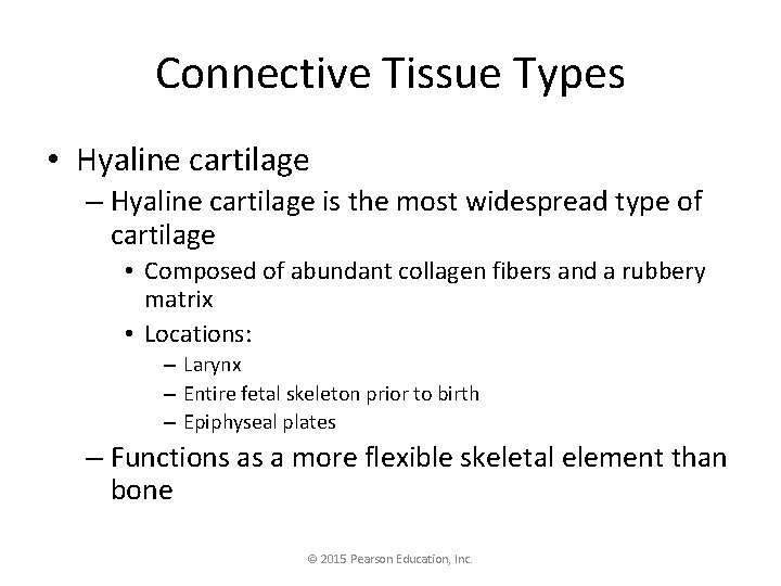 Connective Tissue Types • Hyaline cartilage – Hyaline cartilage is the most widespread type