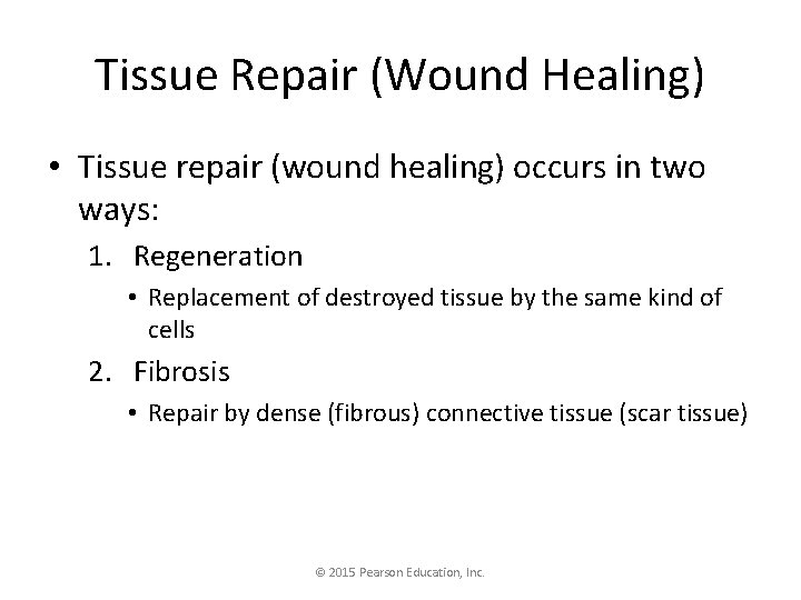 Tissue Repair (Wound Healing) • Tissue repair (wound healing) occurs in two ways: 1.