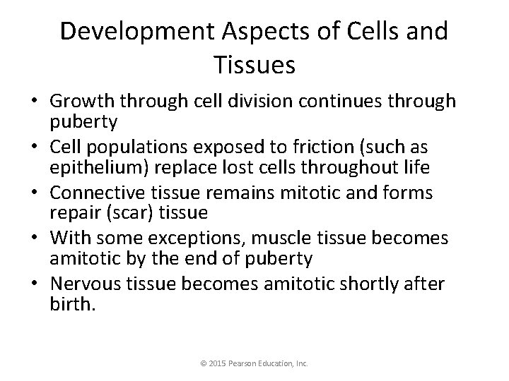 Development Aspects of Cells and Tissues • Growth through cell division continues through puberty