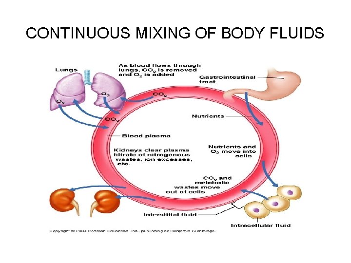 CONTINUOUS MIXING OF BODY FLUIDS 