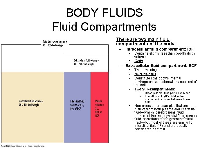 BODY FLUIDS Fluid Compartments • There are two main fluid compartments of the body: