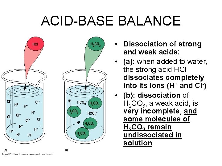 ACID-BASE BALANCE • Dissociation of strong and weak acids: • (a): when added to