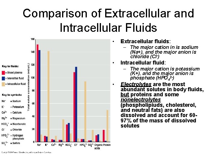 Comparison of Extracellular and Intracellular Fluids • Extracellular fluids: – The major cation in