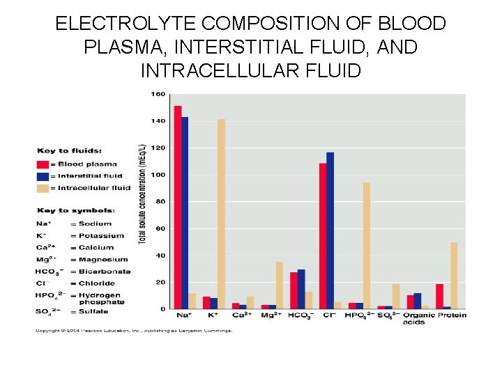 ELECTROLYTE COMPOSITION OF BLOOD PLASMA, INTERSTITIAL FLUID, AND INTRACELLULAR FLUID 
