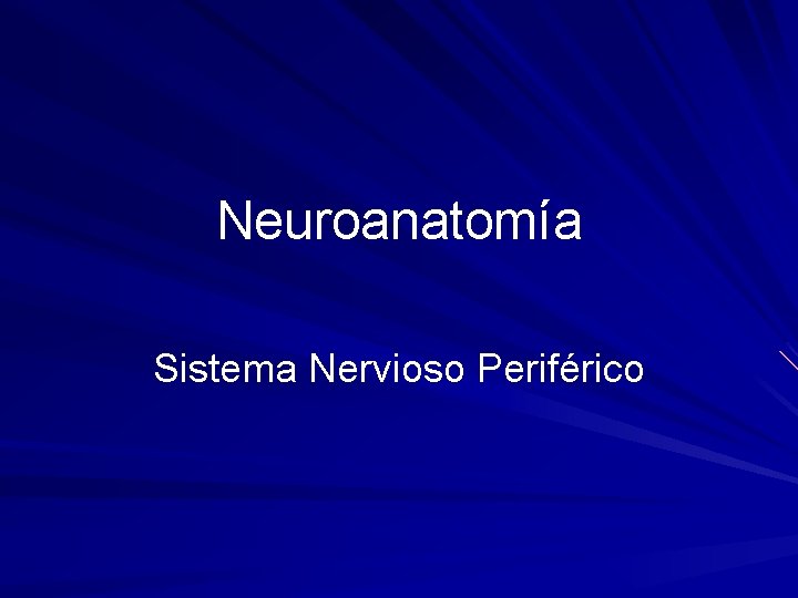 Neuroanatomía Sistema Nervioso Periférico 