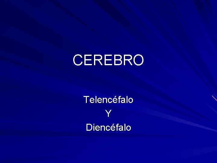 CEREBRO Telencéfalo Y Diencéfalo 