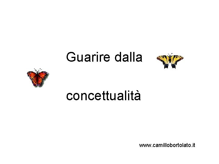 Guarire dalla concettualità www. camillobortolato. it 