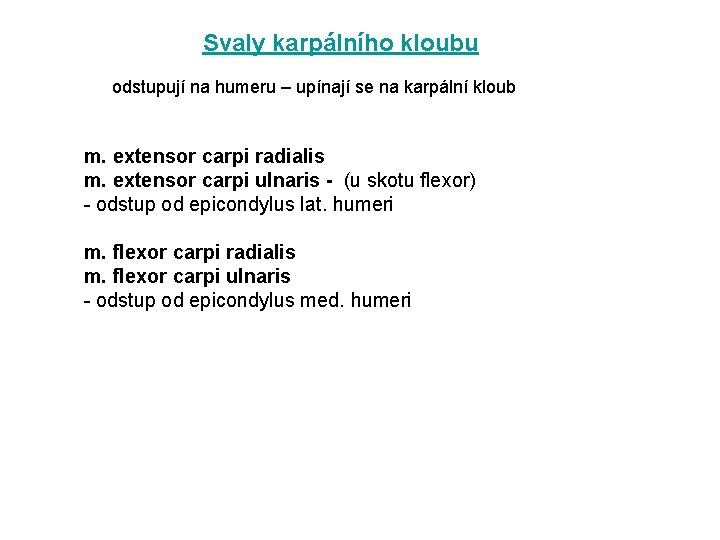 Svaly karpálního kloubu odstupují na humeru – upínají se na karpální kloub m. extensor