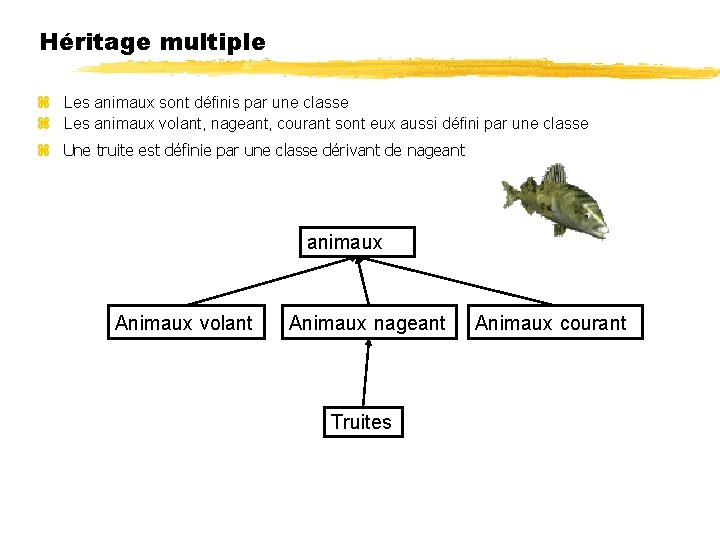 Héritage multiple Les animaux sont définis par une classe Les animaux volant, nageant, courant