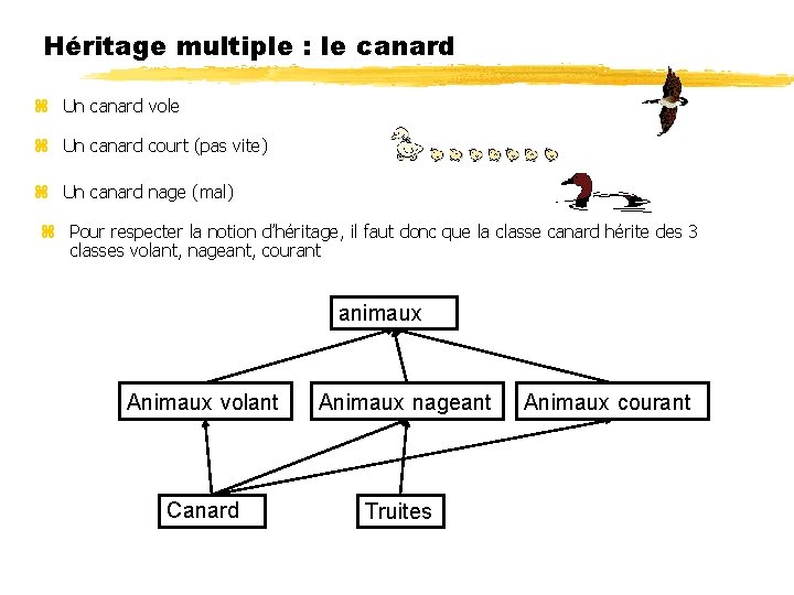 Héritage multiple : le canard Un canard vole Un canard court (pas vite) Un