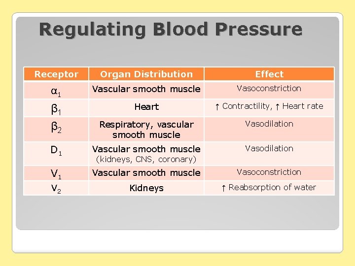 Regulating Blood Pressure Receptor Organ Distribution Effect α 1 Vascular smooth muscle Vasoconstriction β