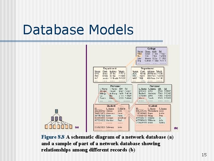 Chapter 8 Data and Knowledge Management Learning Objectives