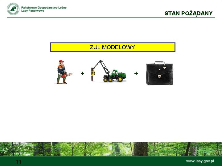 STAN POŻĄDANY ZUL MODELOWY + 11 + 