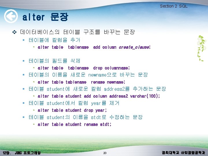 Section 2 SQL alter 문장 v 데이터베이스의 테이블 구조를 바꾸는 문장 § 테이블에 칼럼을