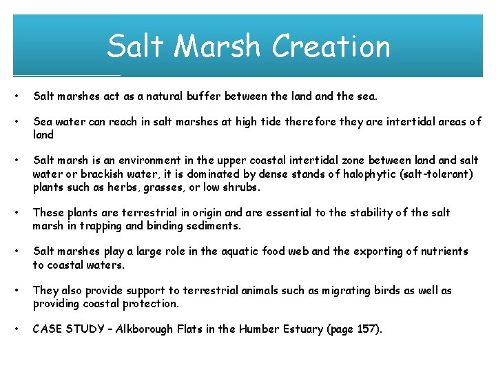 Salt Marsh Creation • Salt marshes act as a natural buffer between the land