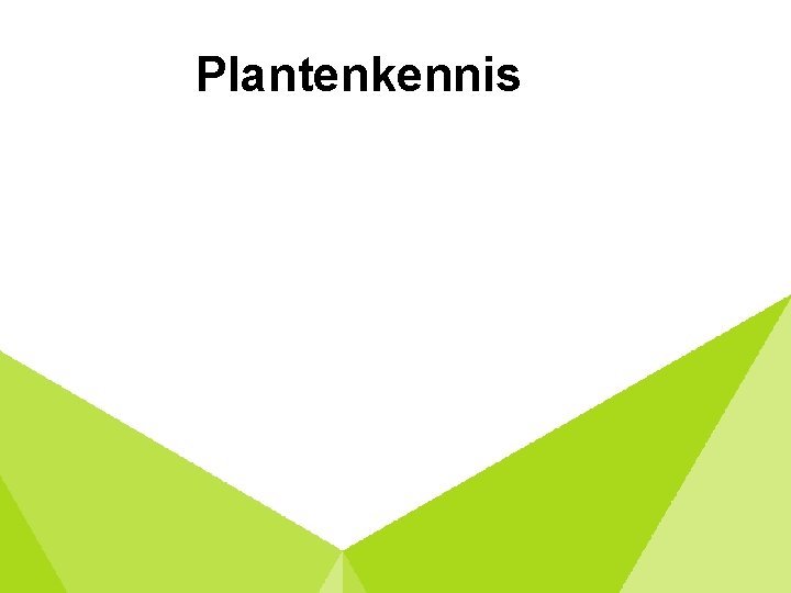 Plantenkennis 