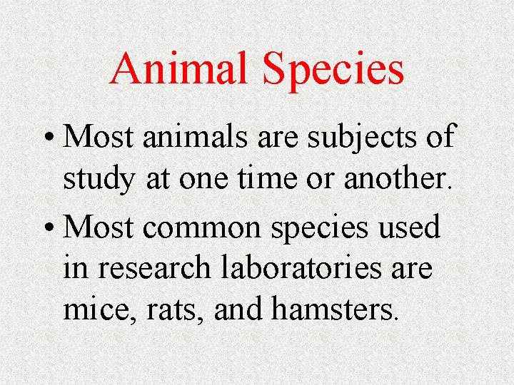 Animal Species • Most animals are subjects of study at one time or another.