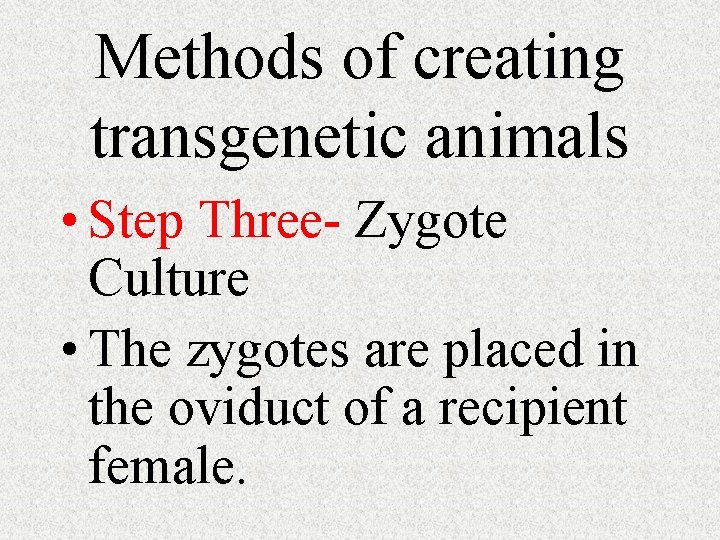 Methods of creating transgenetic animals • Step Three- Zygote Culture • The zygotes are