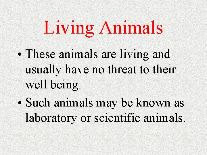 Living Animals • These animals are living and usually have no threat to their