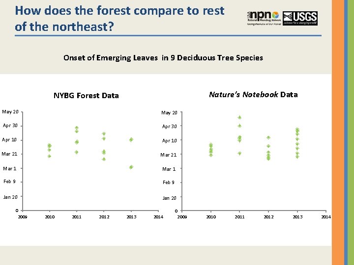 How does the forest compare to rest of the northeast? Onset of Emerging Leaves