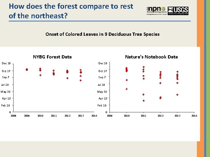 How does the forest compare to rest of the northeast? Onset of Colored Leaves